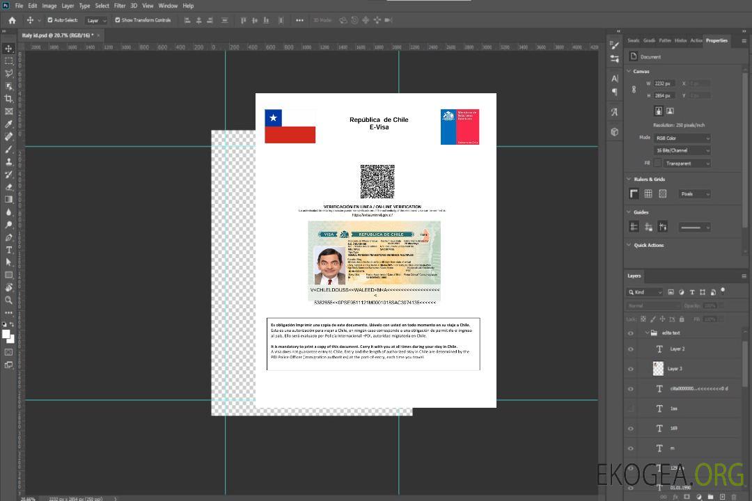 Modèle de visa électronique pour le Chili aux formats Word et PDF template Modèle de visa électronique pour le Chili aux formats Word et PDF template